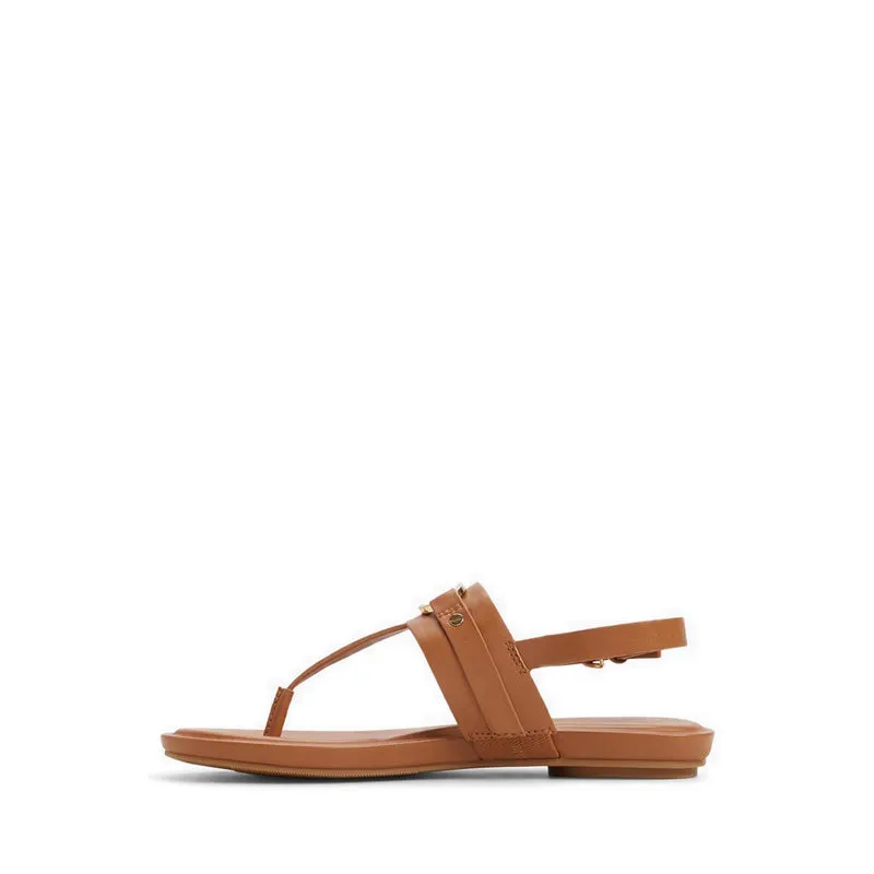Aldo Taylen Women Flat Sandals - Medium Brown