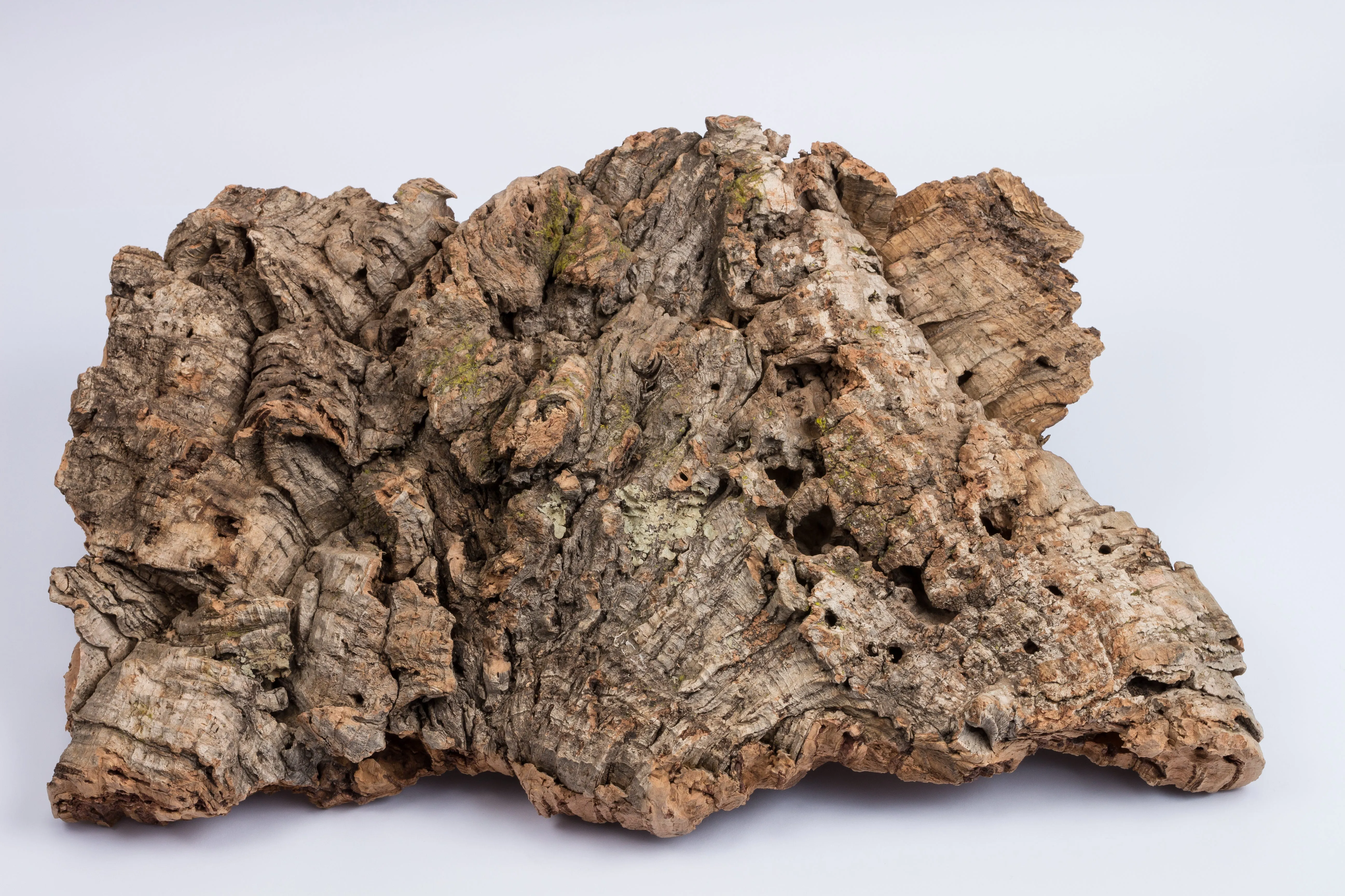 Cork Bark Mixed Flats & Rounds (Sellers Choice) (New)
