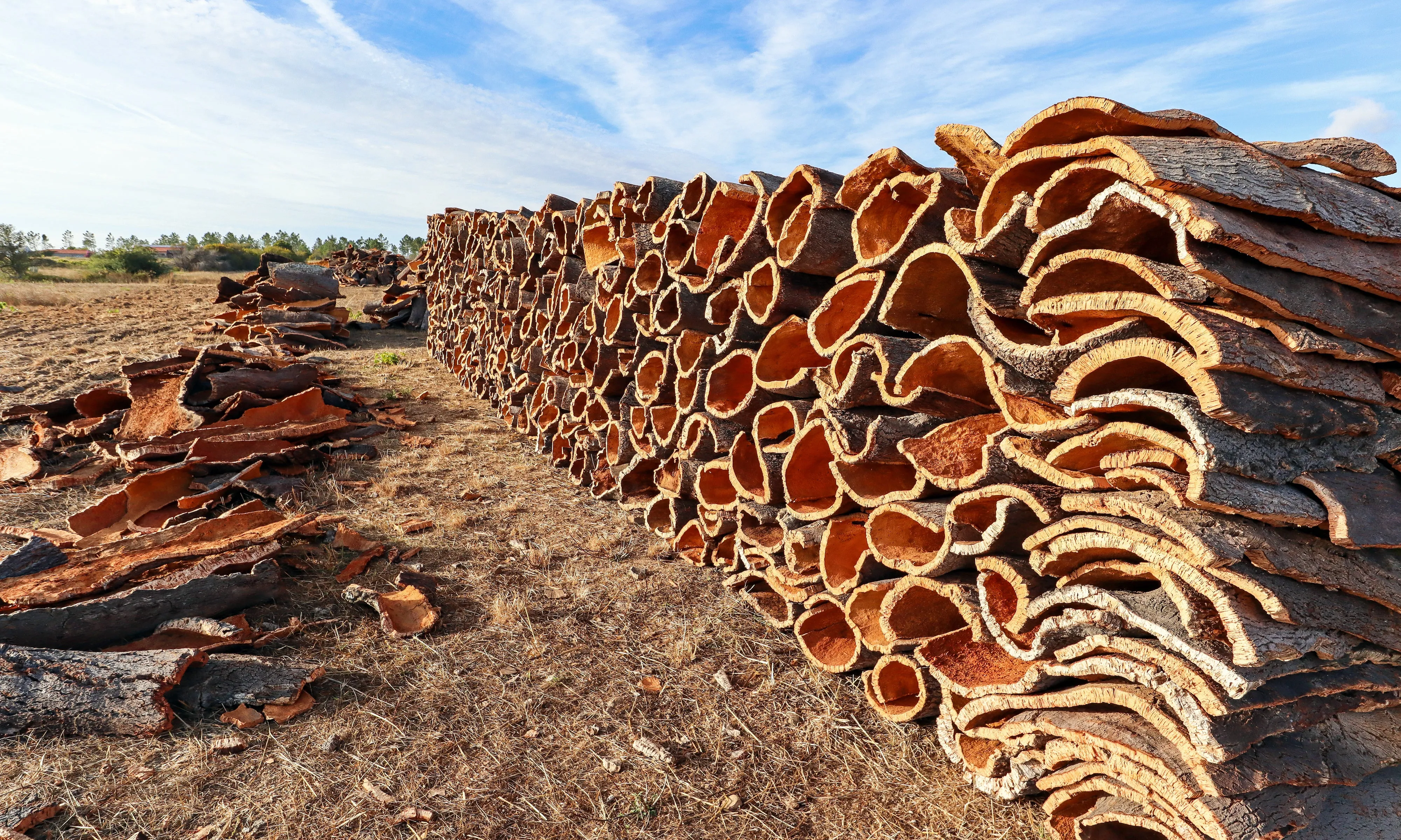 Cork Bark Mixed Flats & Rounds (Sellers Choice) (New)