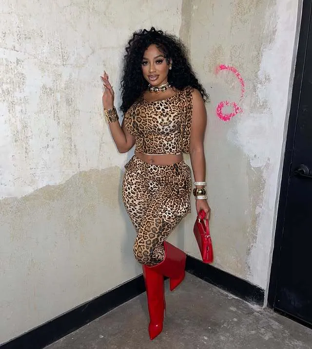 Fierce Leopard Print One-Shoulder Cropped Top and High-Waist Pants Set