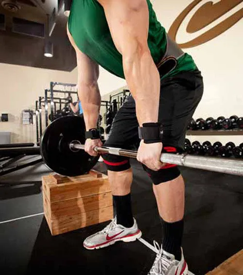 Harbinger Big Grip Pro Padded Weight Lifting Straps No-Slip Rubber