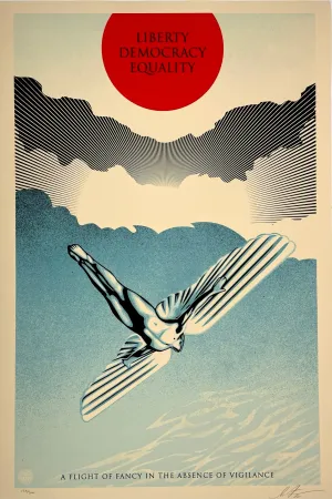 Icarus Democracy