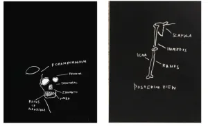 Jean-Michel Basquiat: Signed Set of 2 works Rasmus of Mandible and Posterior View  (Anatomy Suite), 1982