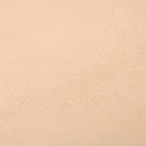 Medium Minimal Belt