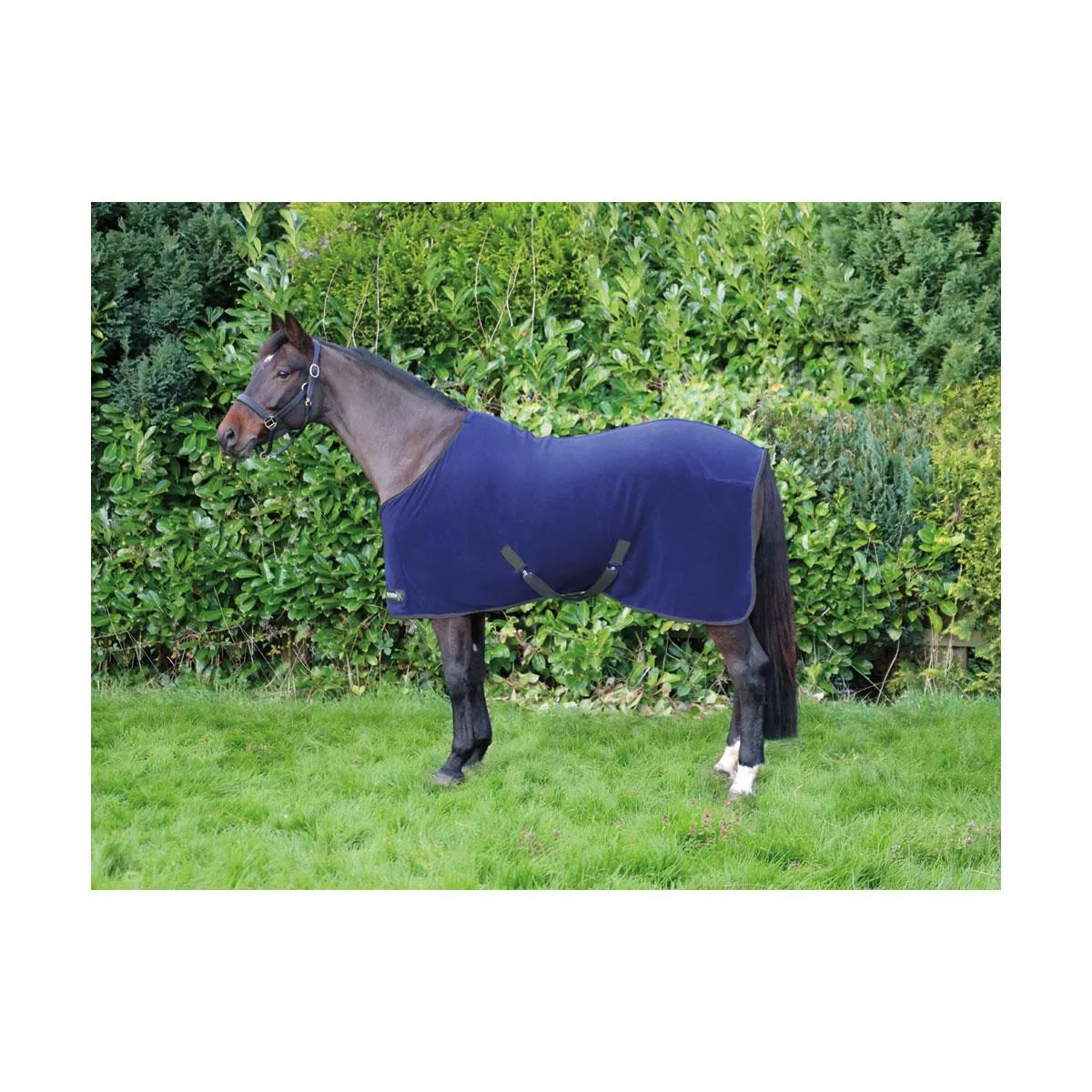 StormX Original Snug Fleece Rug