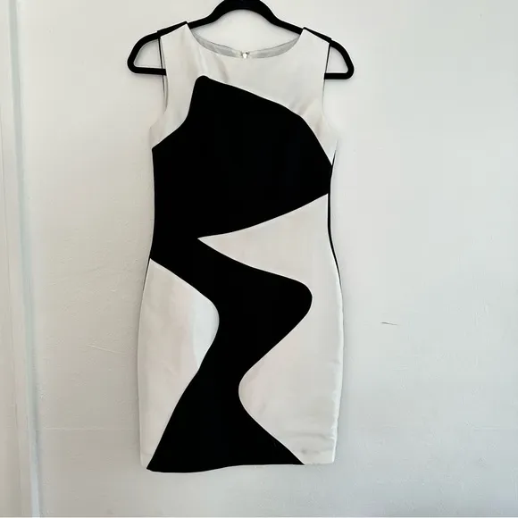 Theia sheath dress sleeveless neutral semi formal color block feminine career