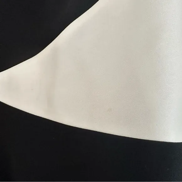 Theia sheath dress sleeveless neutral semi formal color block feminine career