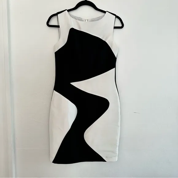 Theia sheath dress sleeveless neutral semi formal color block feminine career