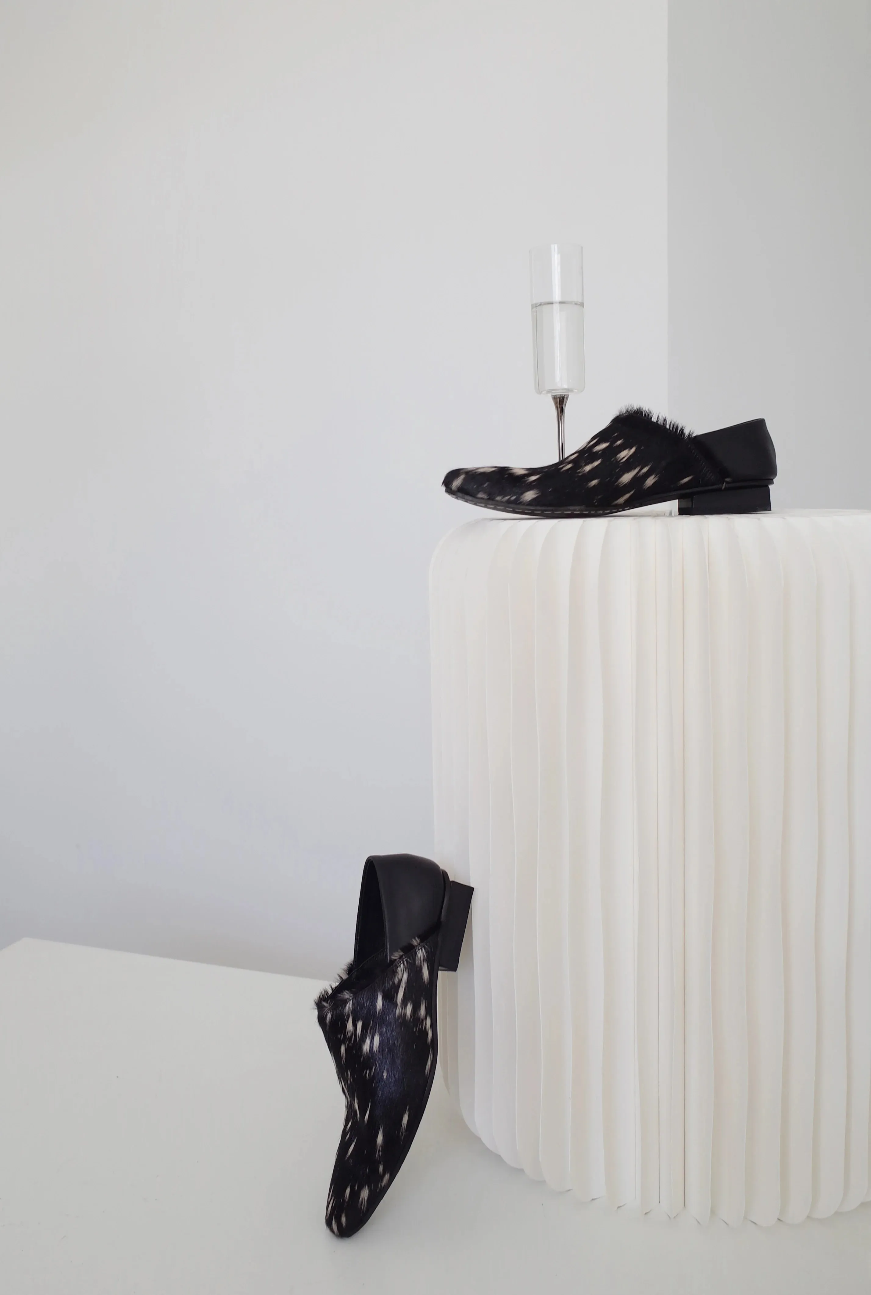 Two-Way Pointed Shoes