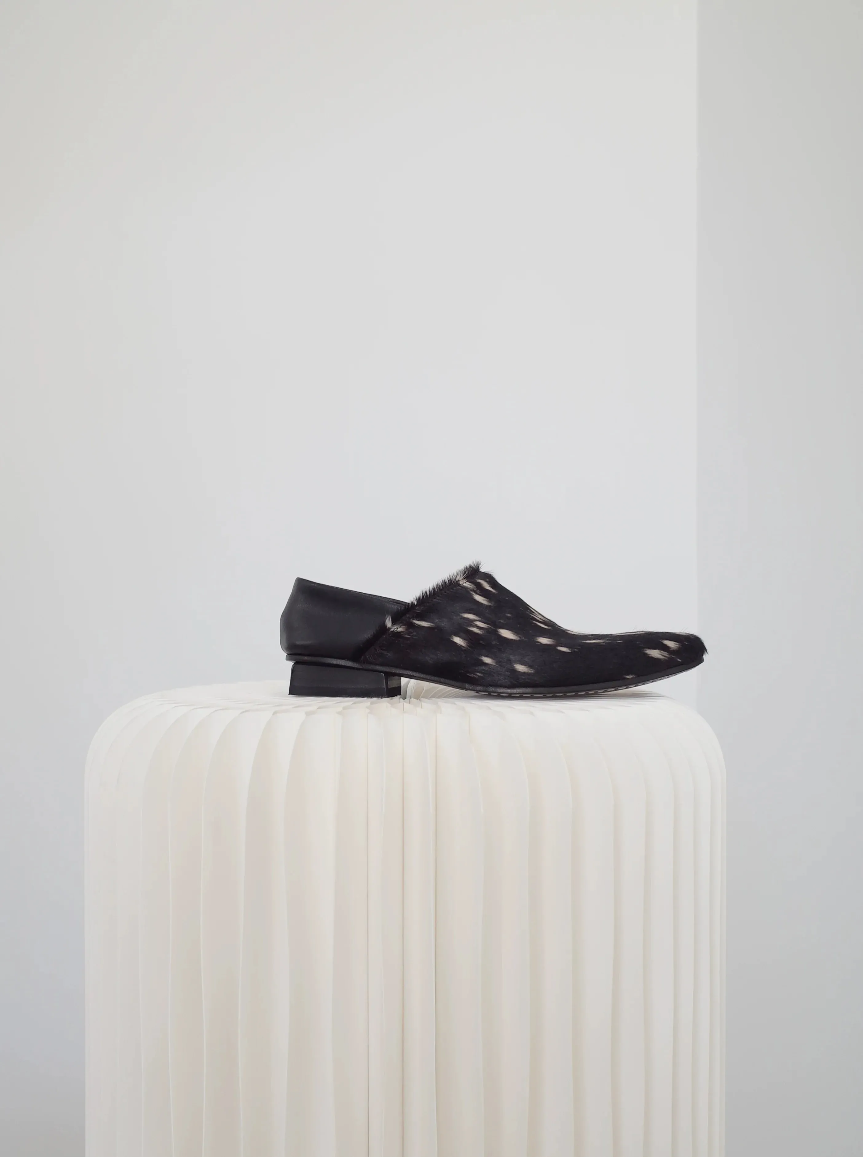 Two-Way Pointed Shoes