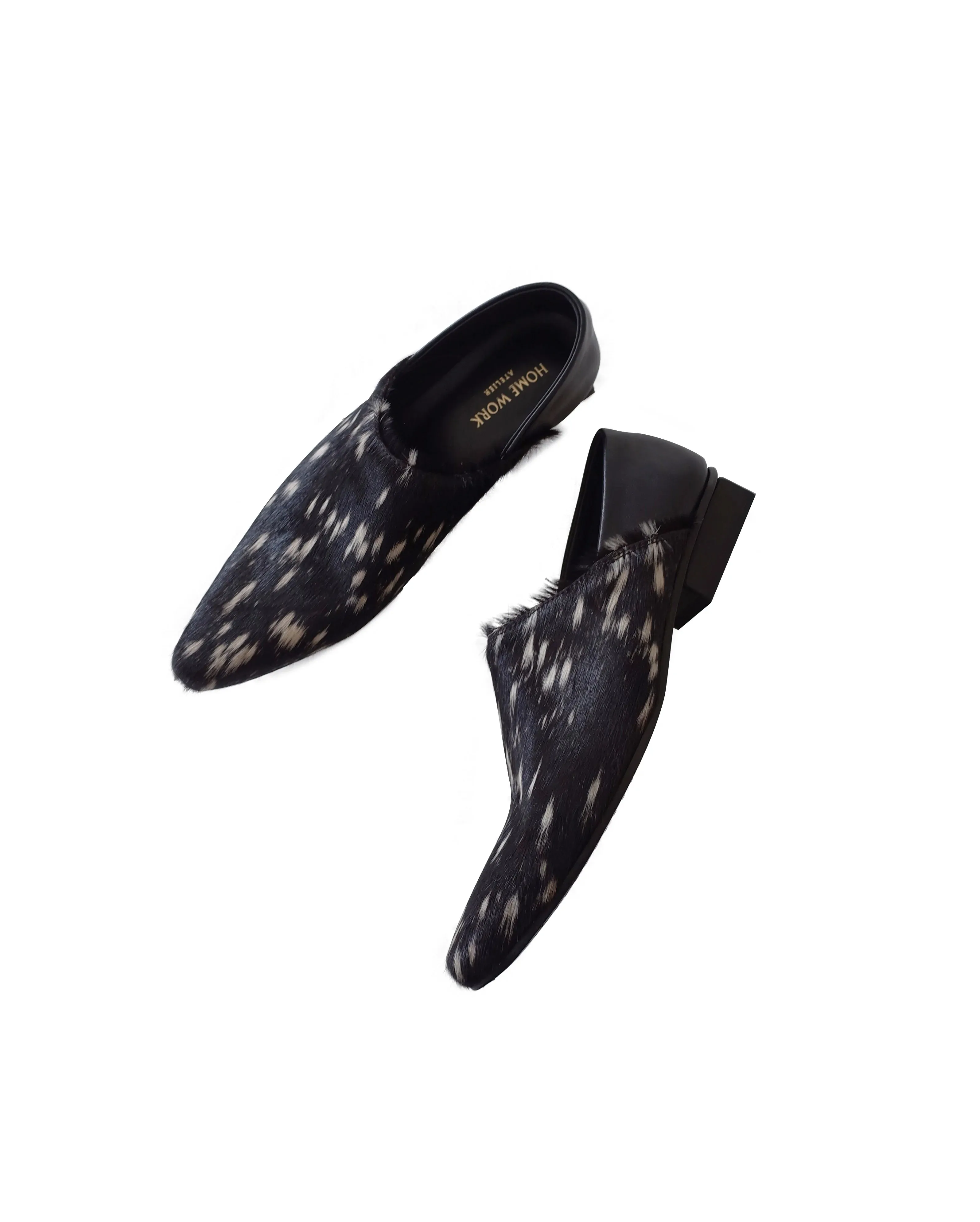 Two-Way Pointed Shoes