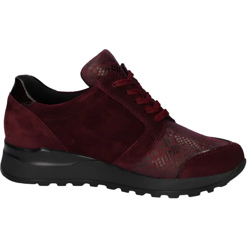 Waldlaufer Hiroko (Waltz) Brunello Trainers